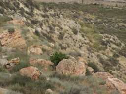 Cerro de la Almagra 2004